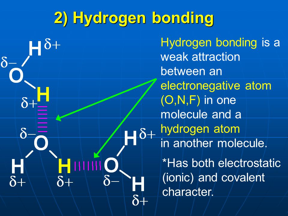 2) Hydrogen bonding Hydrogen bonding is a weak attraction between an electronegative atom (O,N,F) in one molecule and a hydrogen atom.