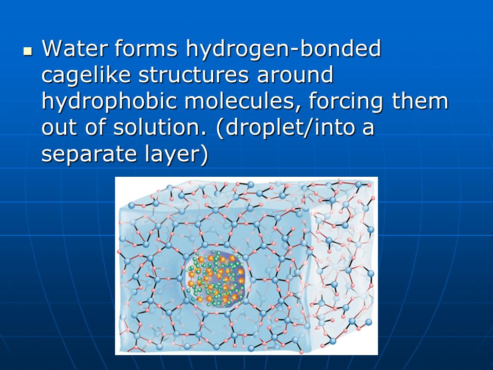 Water forms hydrogen-bonded cagelike structures around hydrophobic molecules, forcing them out of solution.