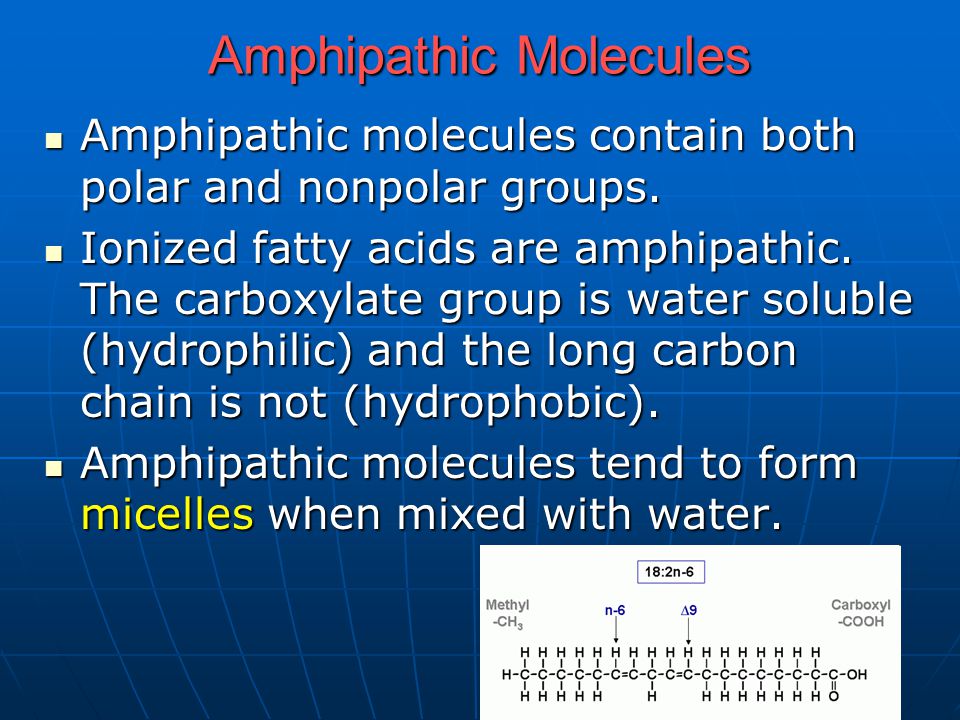Amphipathic Molecules