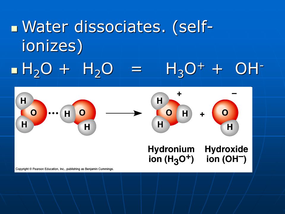 Water dissociates. (self-ionizes)