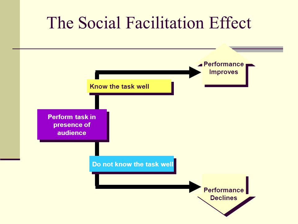social facilitation theory