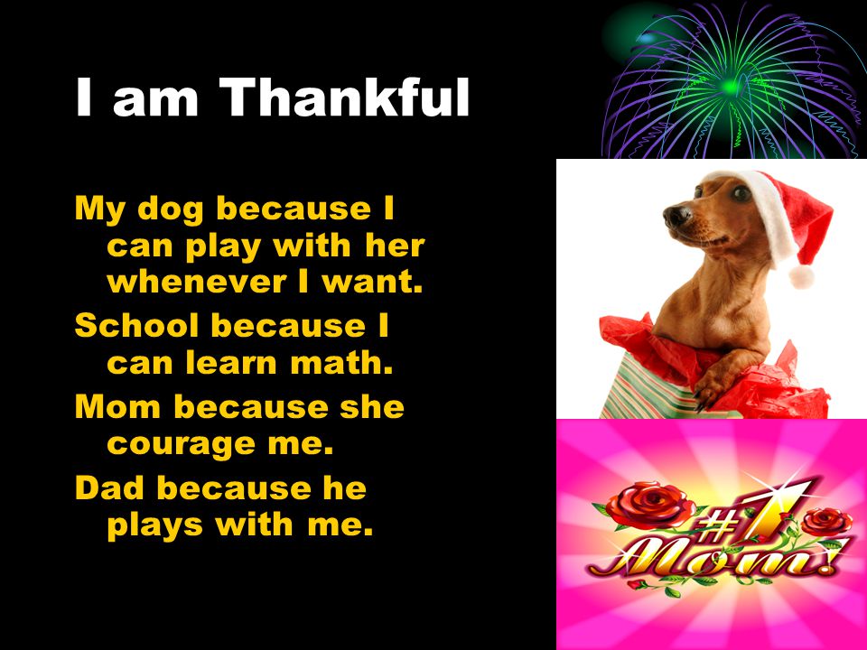 I am Thankful My dog because I can play with her whenever I want.