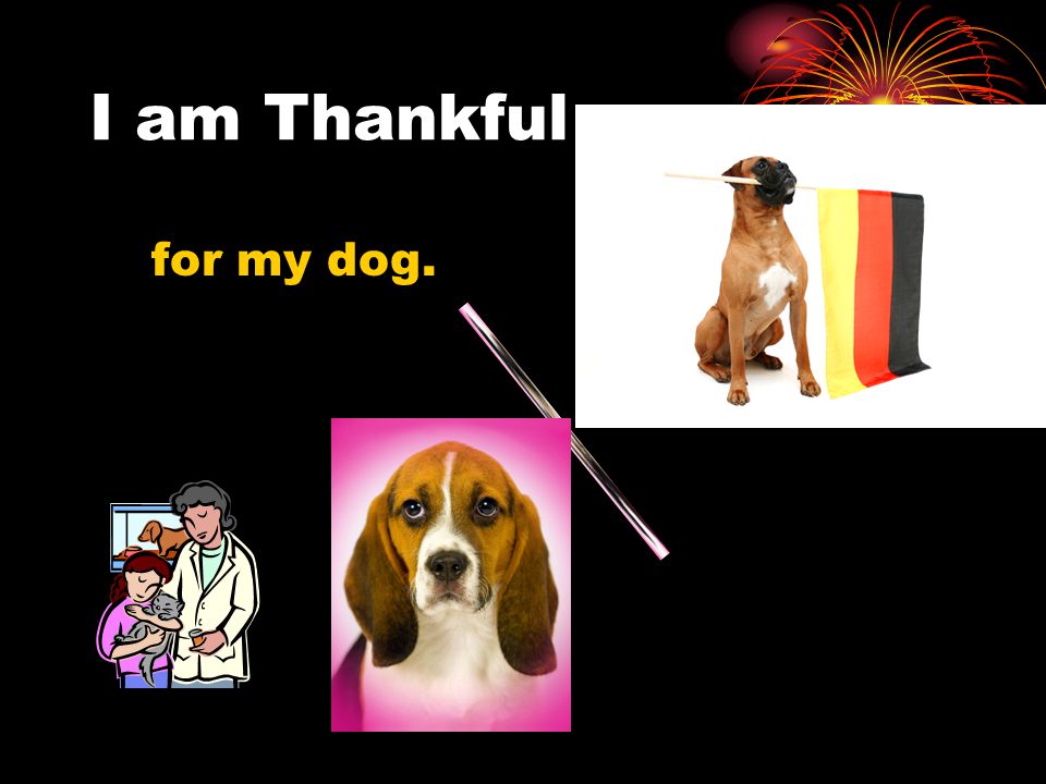I am Thankful for my dog.