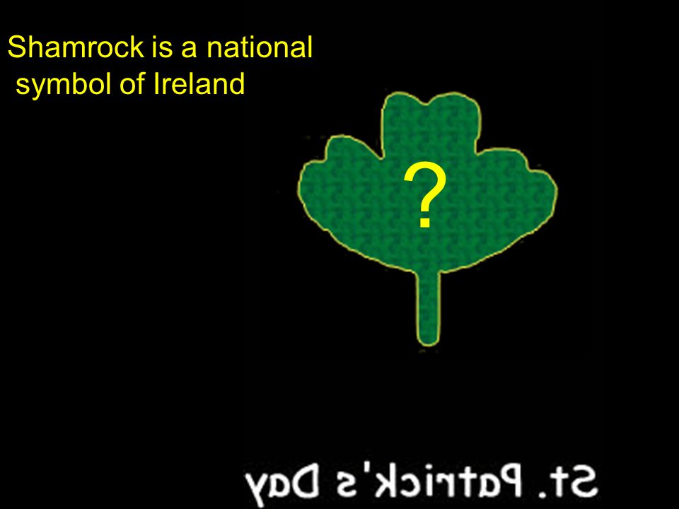 Shamrock is a national symbol of Ireland
