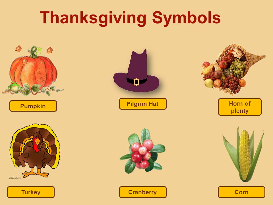 Thanksgiving Symbols Pilgrim Hat Horn of plenty Pumpkin Turkey