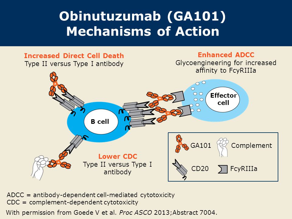 Obinutuzumab (GA101) Mechanisms of Action