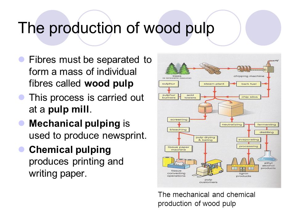 The production of wood pulp