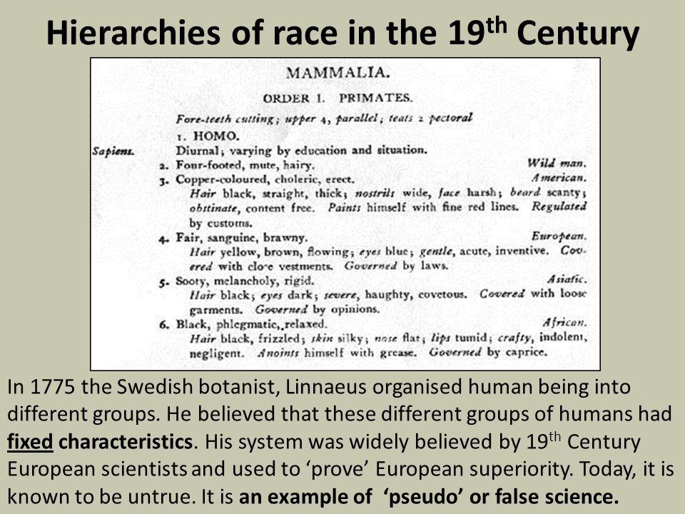Hierarchies of race in the 19th Century