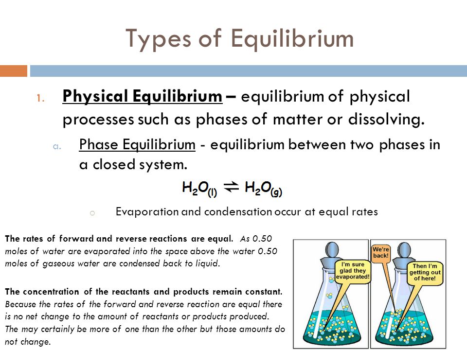 Types of Equilibrium Physical Equilibrium – equilibrium of physical processes such as phases of matter or dissolving.