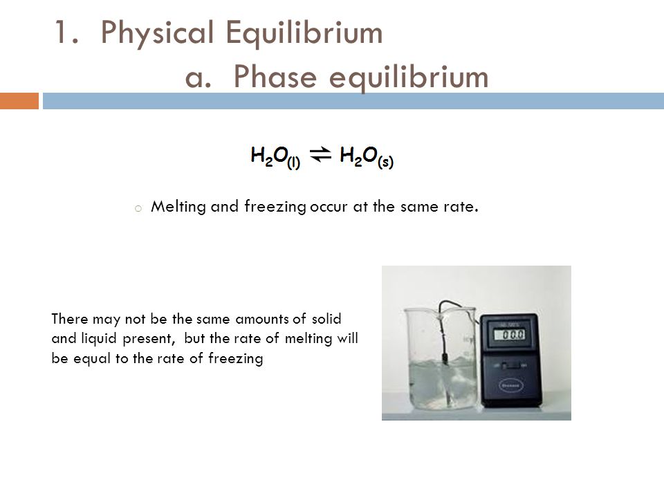 1. Physical Equilibrium a. Phase equilibrium