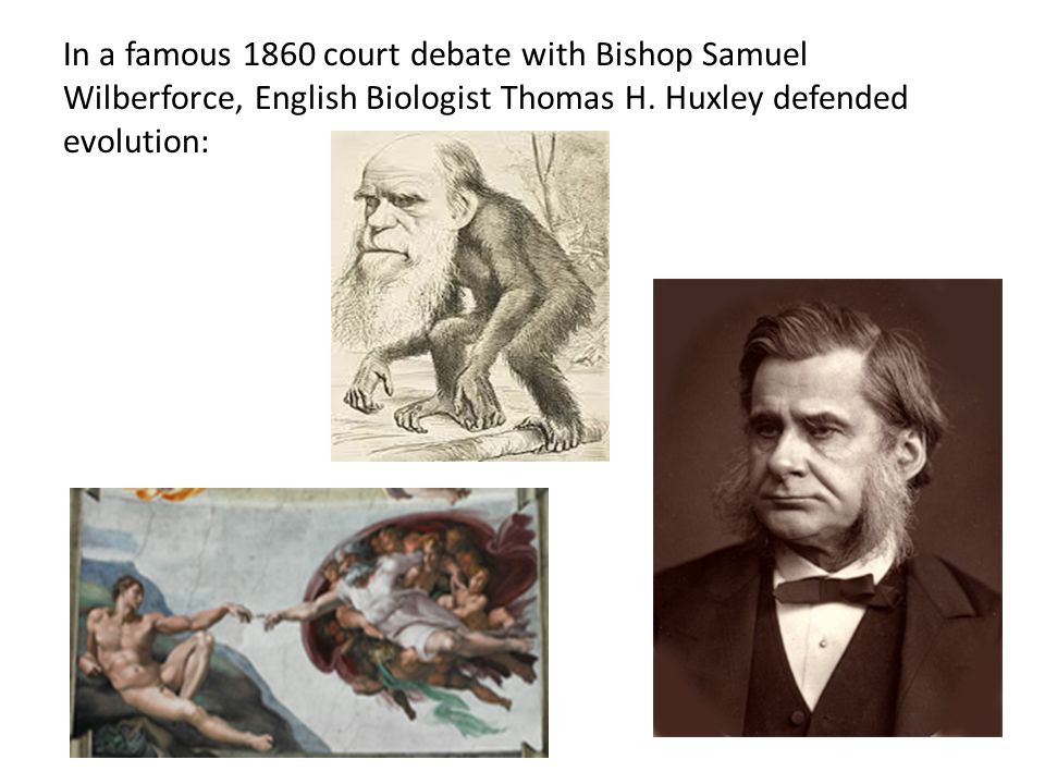 In a famous 1860 court debate with Bishop Samuel Wilberforce, English Biologist Thomas H.