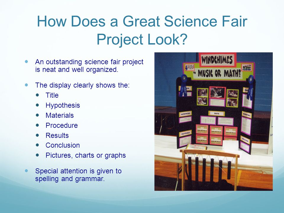 How Does a Great Science Fair Project Look