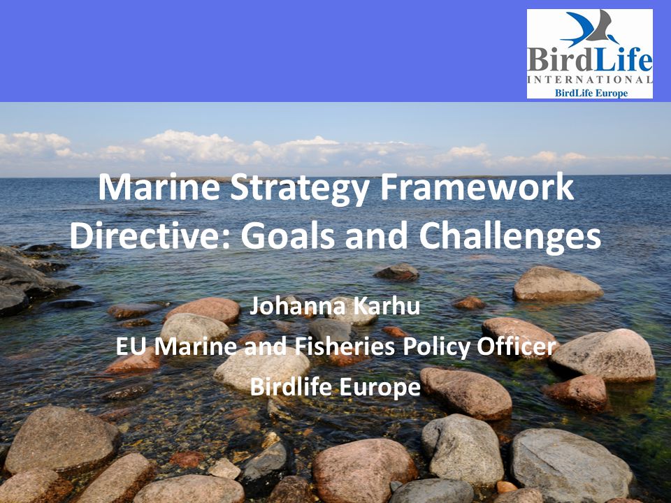 Marine Strategy Framework Directive: Goals and Challenges