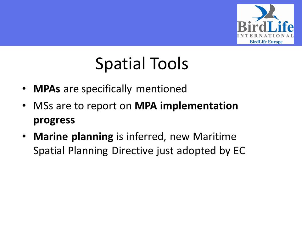Spatial Tools MPAs are specifically mentioned
