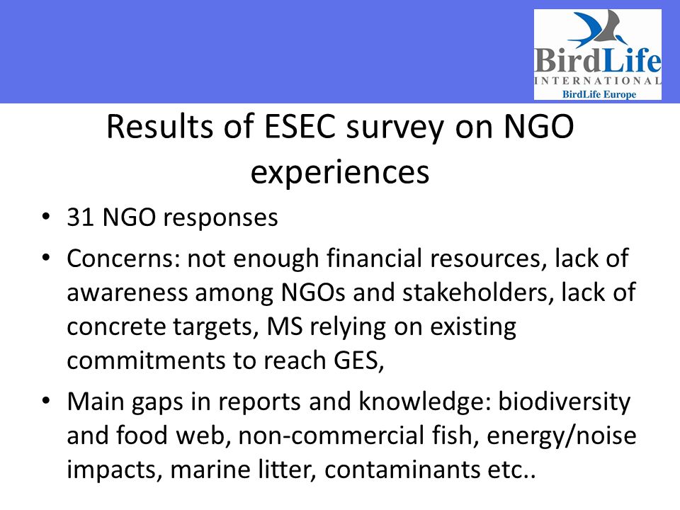 Results of ESEC survey on NGO experiences