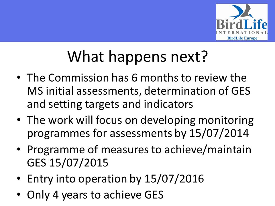 What happens next The Commission has 6 months to review the MS initial assessments, determination of GES and setting targets and indicators.