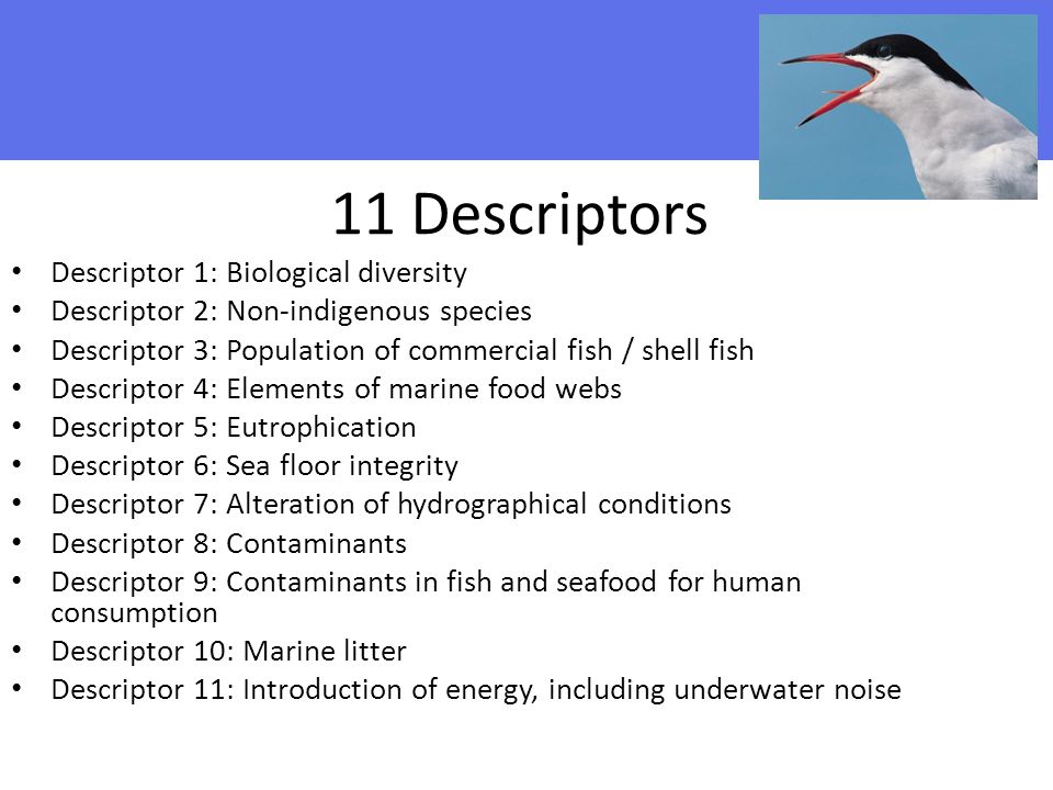 11 Descriptors Descriptor 1: Biological diversity