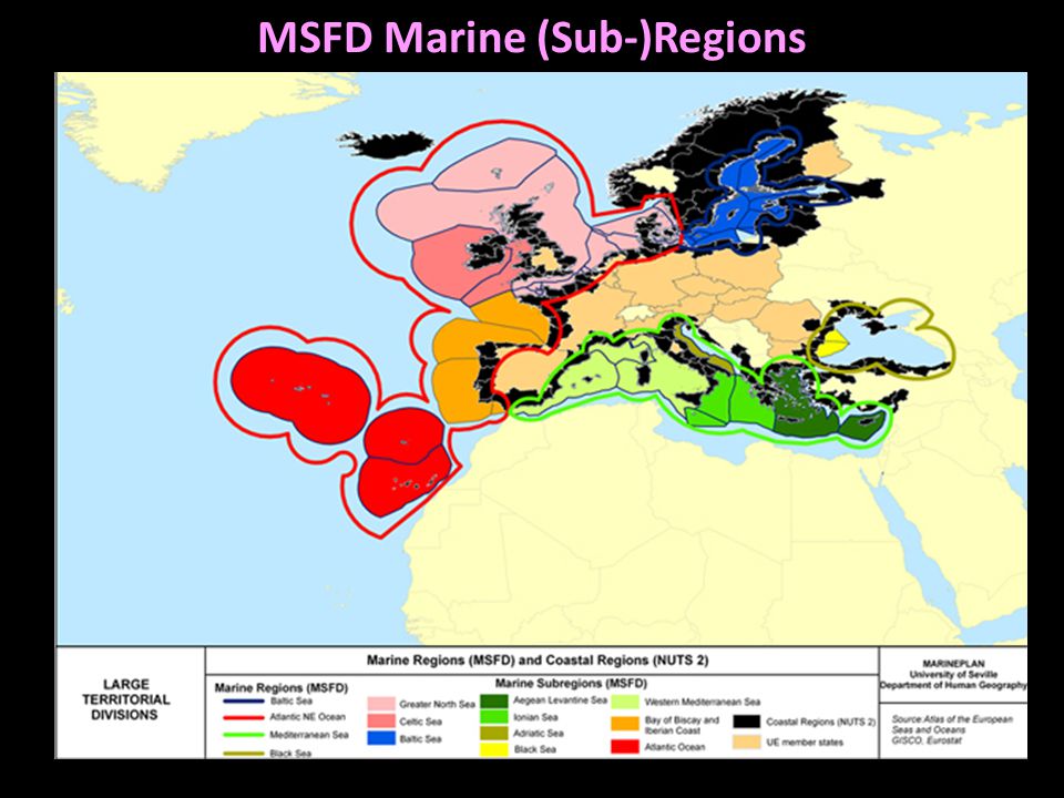 MSFD Marine (Sub-)Regions