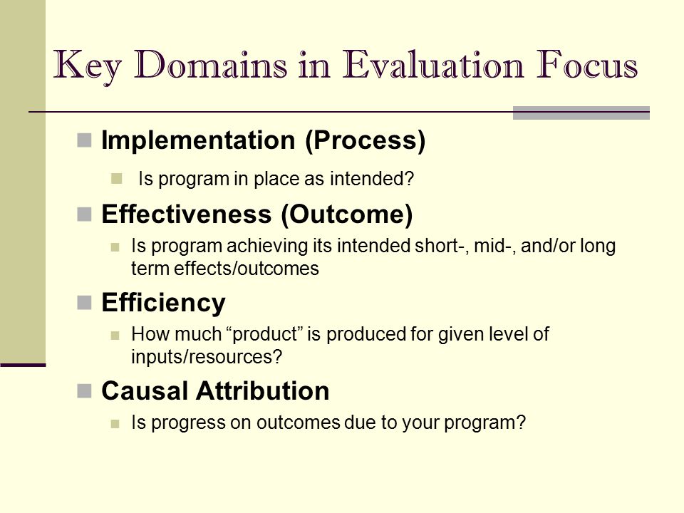 Key Domains in Evaluation Focus
