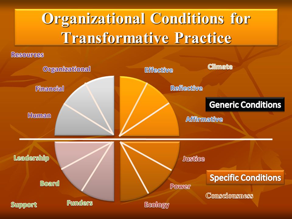 Organizational Conditions for Transformative Practice