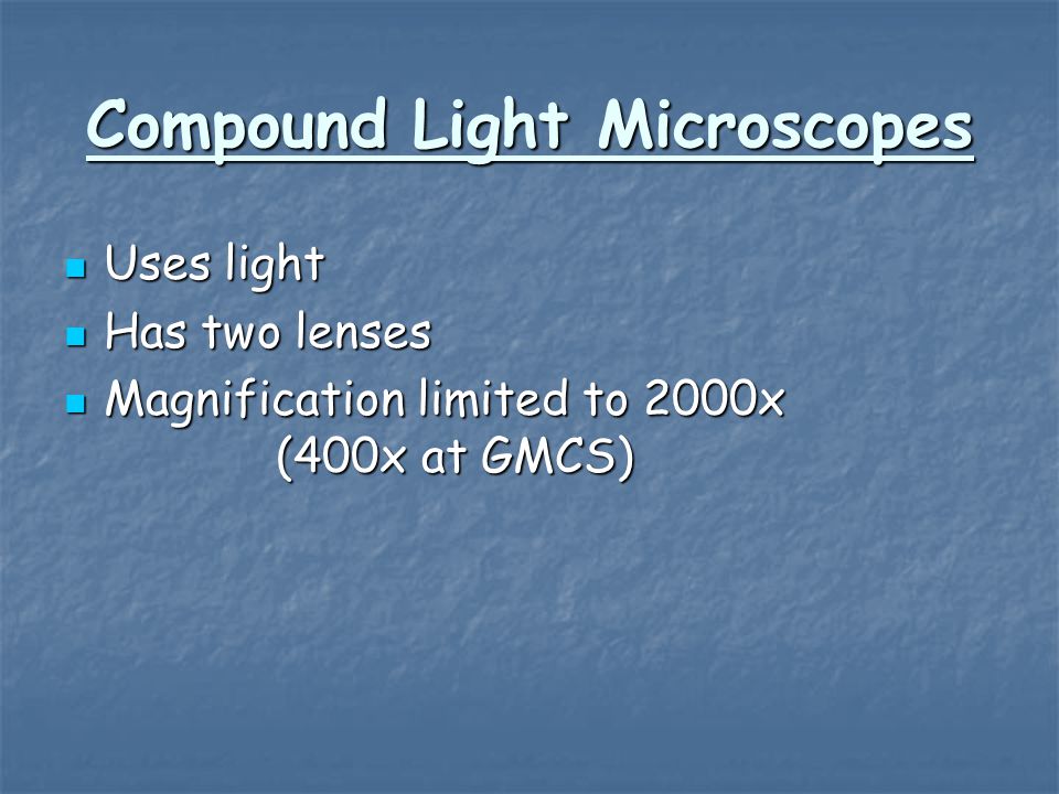 Compound Light Microscopes