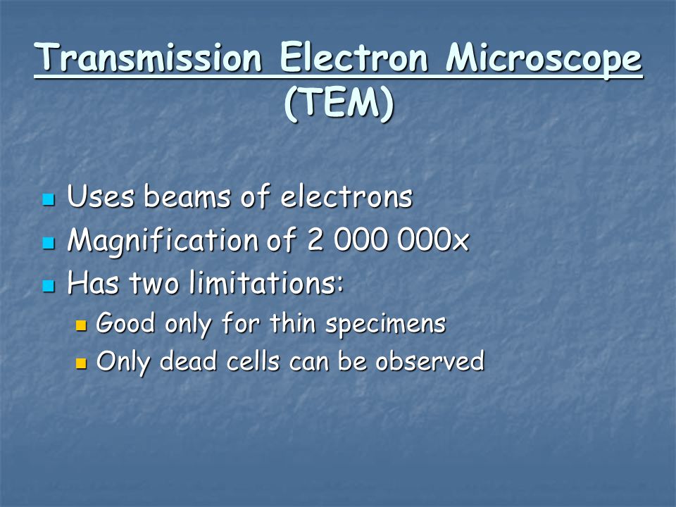 Transmission Electron Microscope (TEM)
