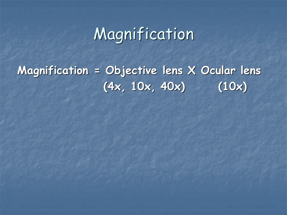 Magnification Magnification = Objective lens X Ocular lens