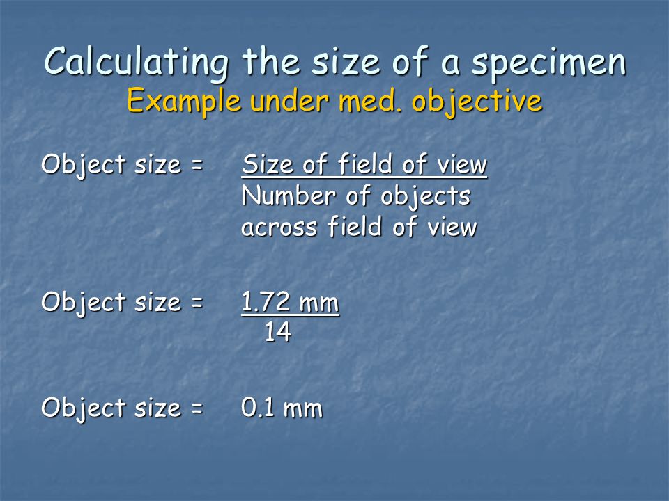 Calculating the size of a specimen Example under med. objective