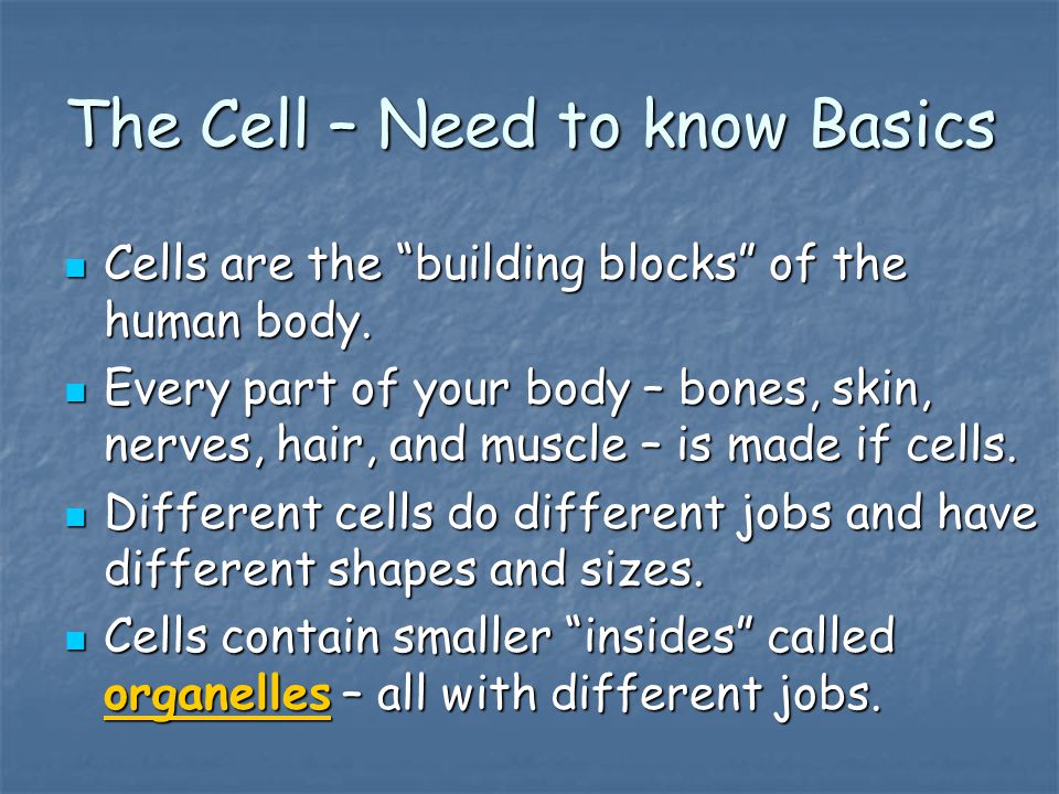 The Cell – Need to know Basics