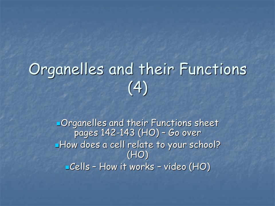 Organelles and their Functions (4)