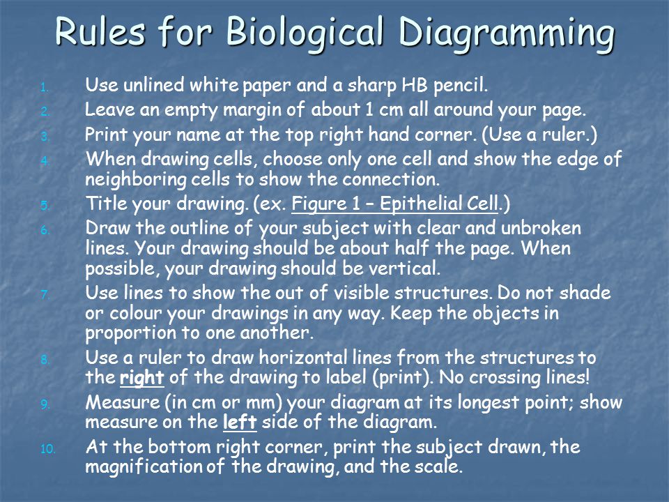 Rules for Biological Diagramming
