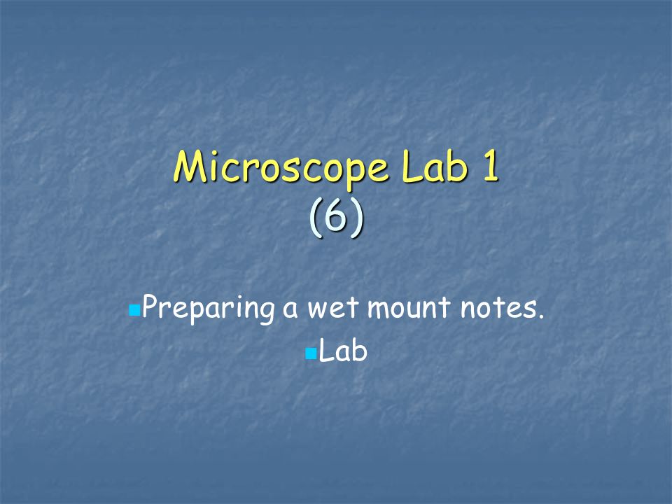 Preparing a wet mount notes. Lab