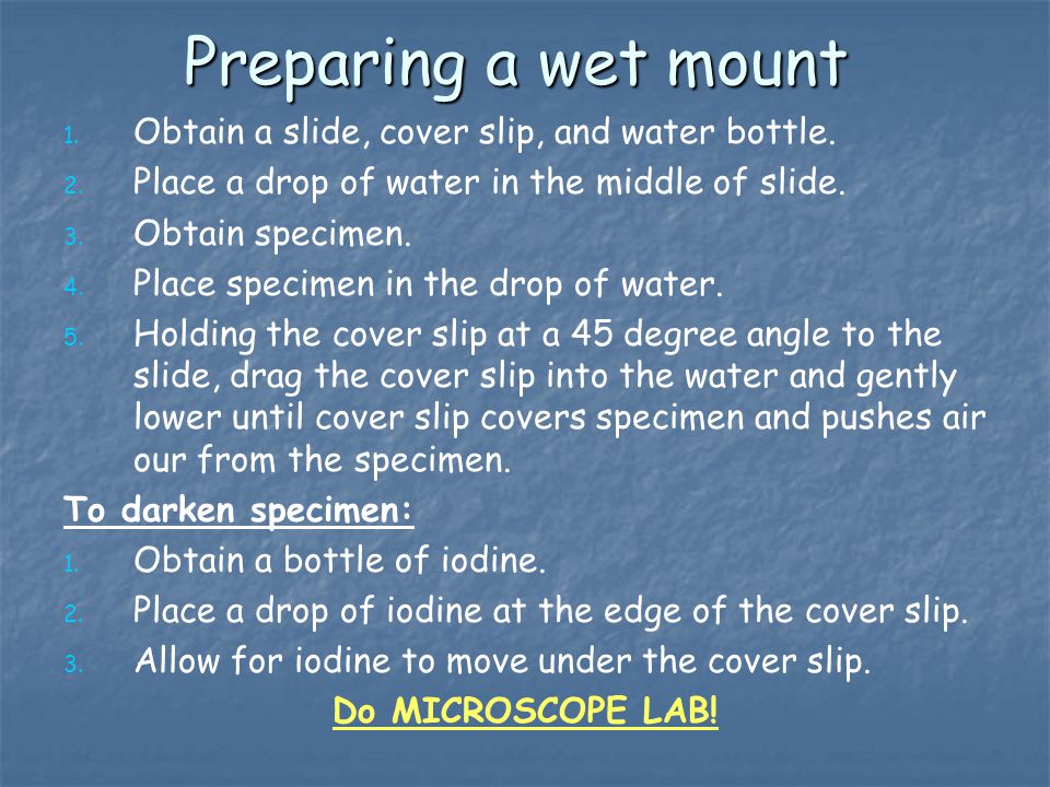 Preparing a wet mount Obtain a slide, cover slip, and water bottle.
