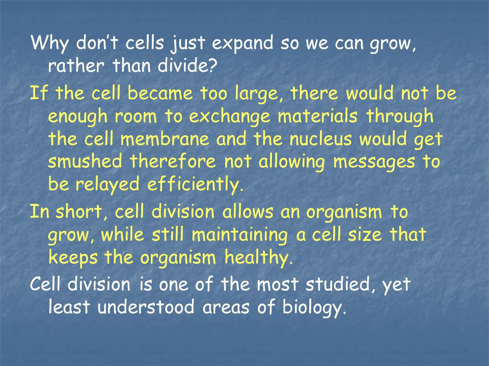 Why don’t cells just expand so we can grow, rather than divide