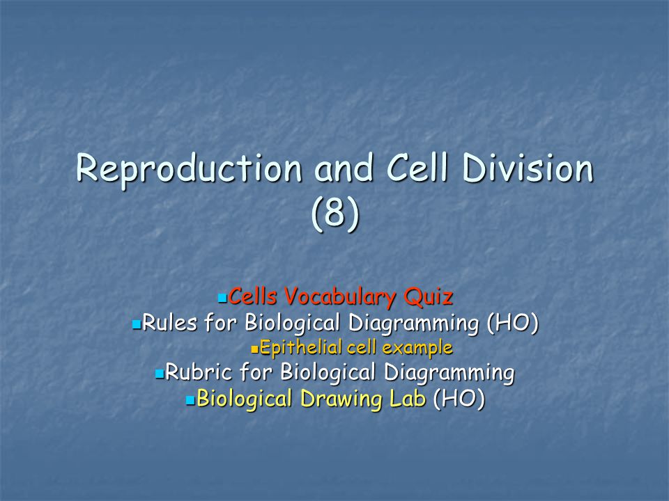 Reproduction and Cell Division (8)