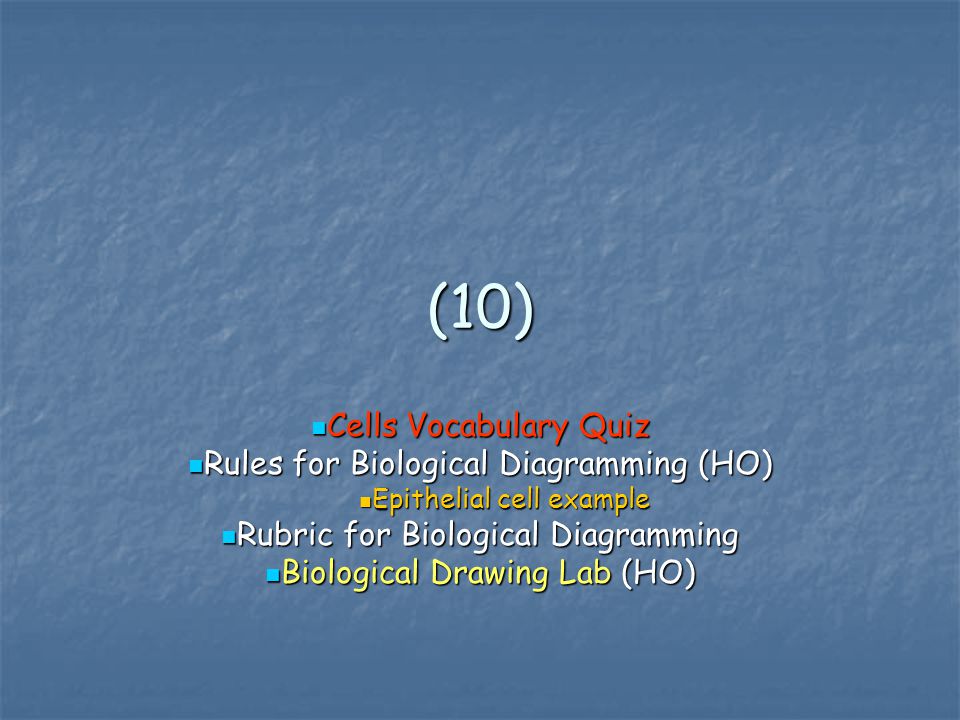 (10) Cells Vocabulary Quiz Rules for Biological Diagramming (HO)