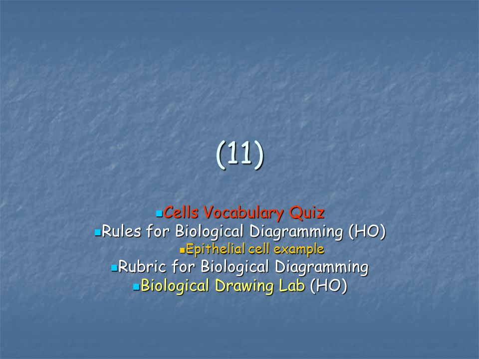 (11) Cells Vocabulary Quiz Rules for Biological Diagramming (HO)