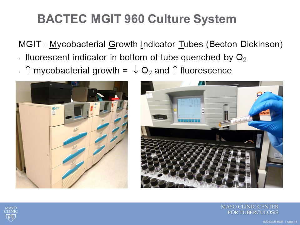 BACTEC MGIT 960 Culture System.