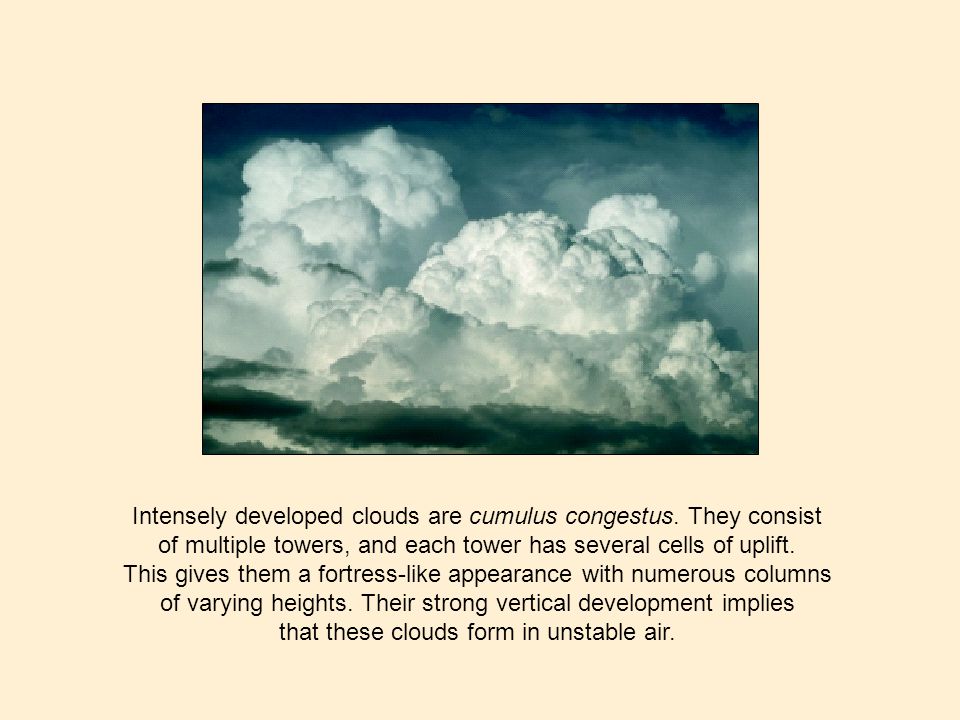 Intensely developed clouds are cumulus congestus. They consist