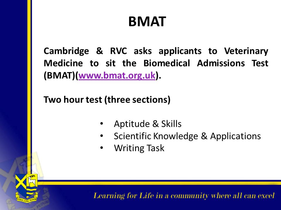 Cambridge Bmat Requirements