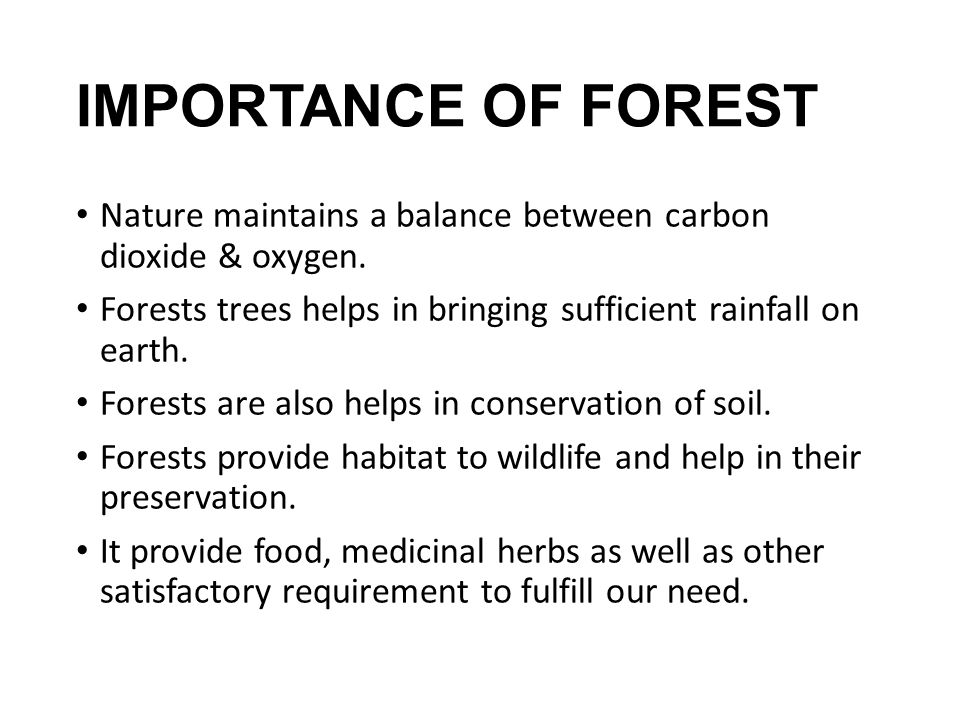 conservation of forest essay