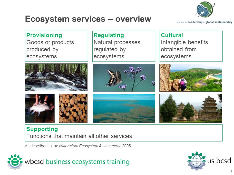 Ecosystem services – overview