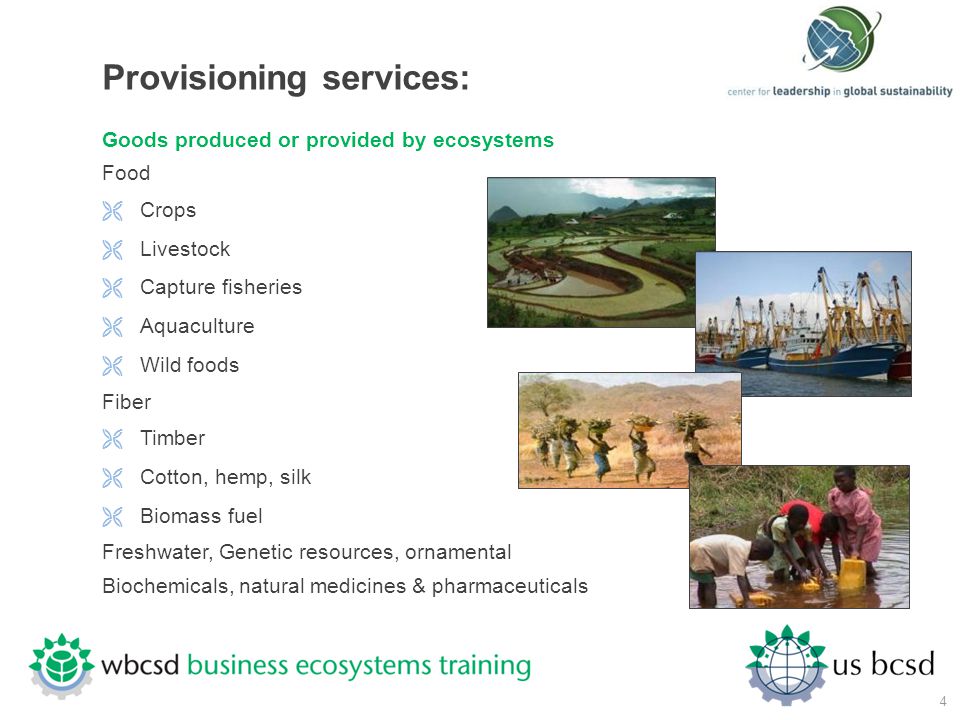 Provisioning services: