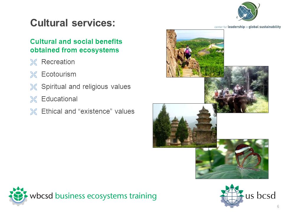 Cultural services: Cultural and social benefits obtained from ecosystems. Recreation. Ecotourism.