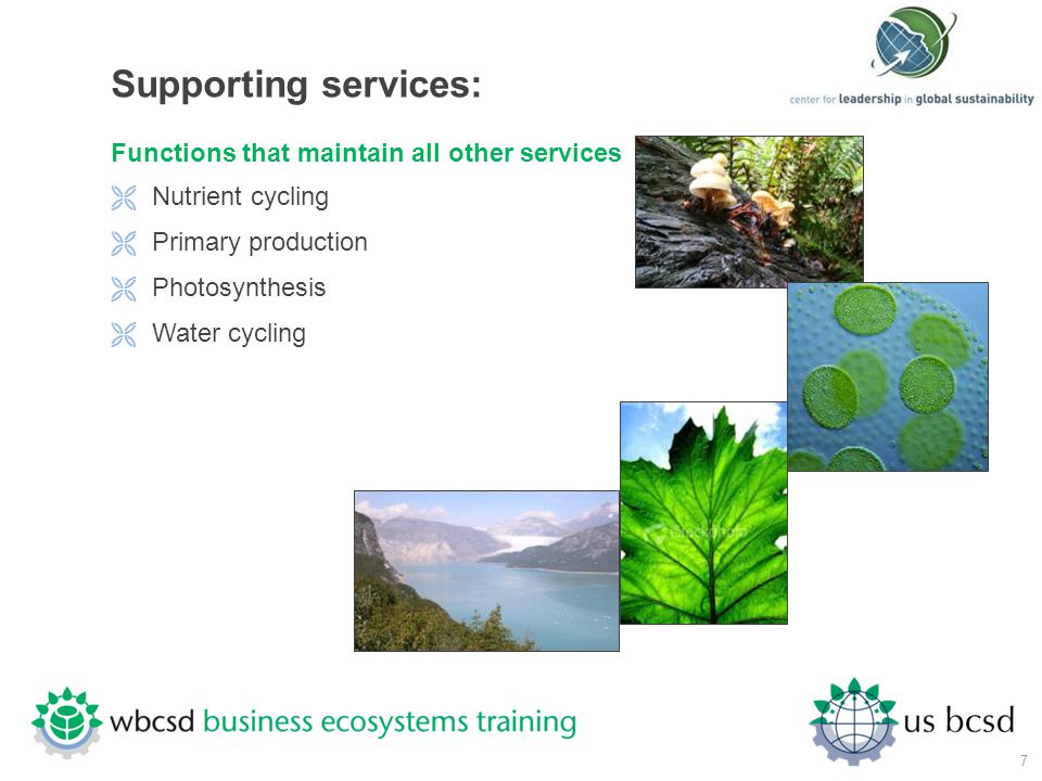 Supporting services: Functions that maintain all other services