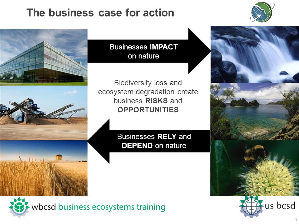 The business case for action