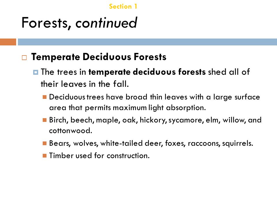 Forests, continued Temperate Deciduous Forests Chapter 21