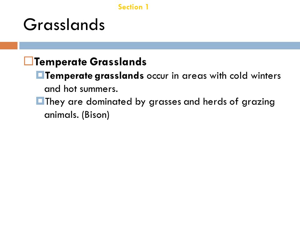 Grasslands Temperate Grasslands Chapter 21