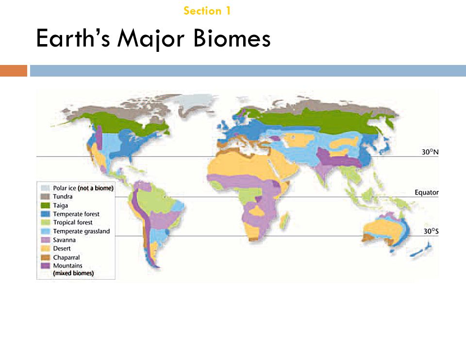 Section 1 Terrestrial Biomes