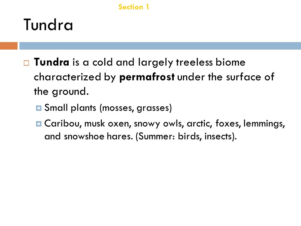 Section 1 Terrestrial Biomes